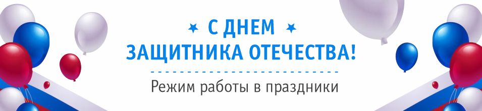 С Днем защитника Отечества!