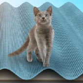 Надежное шиферное покрытие!